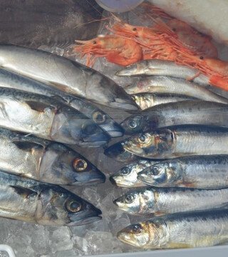 ВЭФ-2022: Что в программе