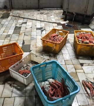 «Беспаспортные» морепродукты обойдутся приморцу в копеечку