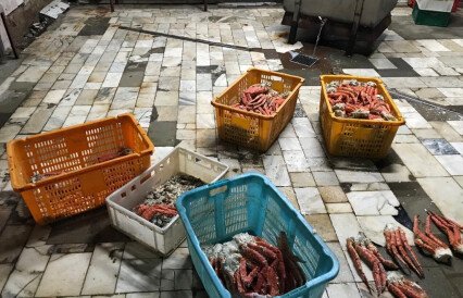 «Беспаспортные» морепродукты обойдутся приморцу в копеечку