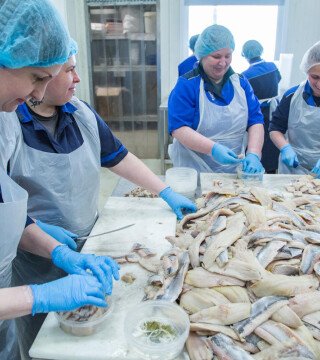 Рыбному хозяйству Карелии и Поморья пообещали кластерный подход