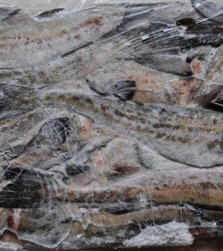 Власти Камчатки работают над обеспечением рыбных поставок