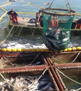 Для рыбаков Хабаровского края предусмотрели обязательную вакцинацию