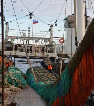 Российский вылов уверенно растет