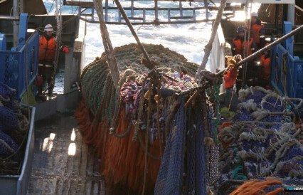 Рыбакам ответили на вопросы об ЭРЖ и разрешениях на вылов