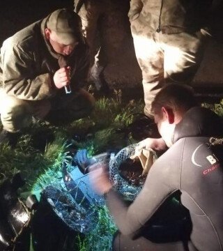 Браконьерских раков не пустили в пивные