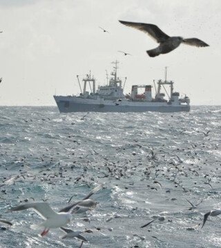 Профильный департамент поможет качественному регулированию в отрасли