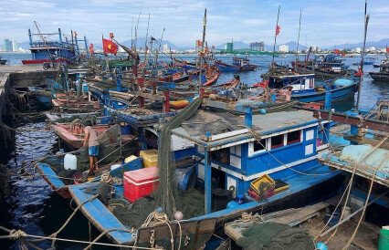 Вьетнамские рыбопромышленники отбивают потери от пандемии