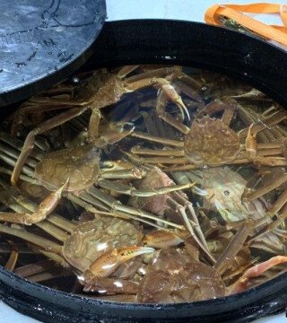 Павел Клименко: Мы добились нулевой гибели крабов в пути