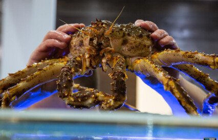 Россия сохраняет лидерство в поставках краба в КНР