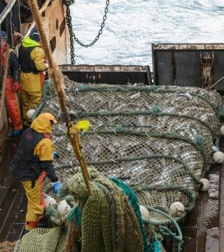 Отрасль нарастила оборот