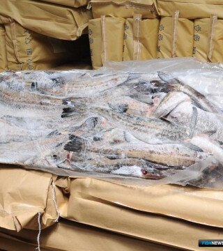 Техрегламент не считается с реалиями рыбной глазировки