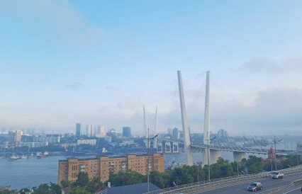 В рыбной отрасли Приморья растет оборот, но снижается прибыльность