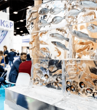 Seafood Expo Russia 2022: ловим — упаковываем — везем — продаем