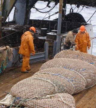 Добытчики минтая - за здоровье экипажей и безопасность продукции