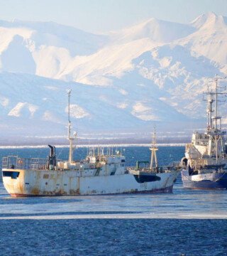 Государство определило пути избавления от браконьерского флота