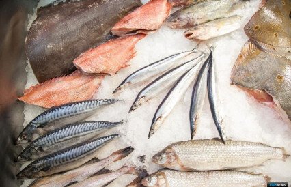Росрыболовство озвучило планы по «рыбной бирже»