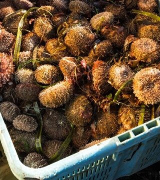 Рыбаки столкнулись с вопросами при оформлении разрешений с помощью «Госуслуг»