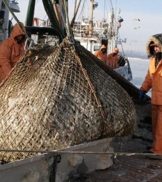 Доступная рыба, квоты, участки: власти Сахалинской области рассказали о повестке на предстоящий год