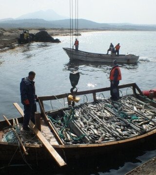 Для рыбаков Дальнего Востока вышли изменения