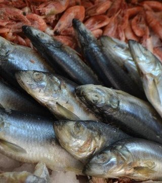 Сельдь, креветки и крабовые палочки сохранят любовь россиян