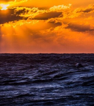 Губернаторы призывают тщательно подойти к будущему рыбной отрасли