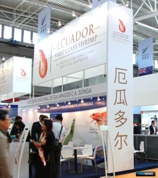 Экспорт эквадорской креветки бьет рекорды