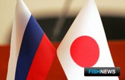 Россия и Япония хотят запустить новые «рыбные» проекты