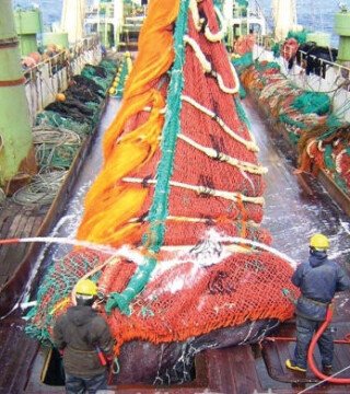 Корейские рыбаки сделали ставку на Атлантику