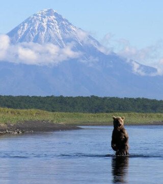 Как изменения климата скажутся на промысле на Камчатке – прогноз WWF