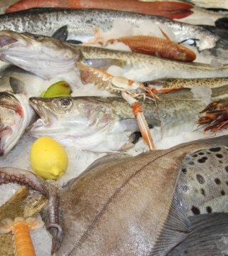 Рыбный союз: Система оценки рисков пойдет на пользу импортерам