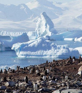 Коронавирус вмешался в исследования Антарктиды