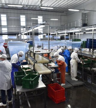 Приморский край перерабатывает меньше, но глубже
