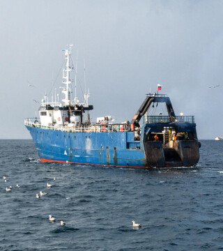 Рыбаки пробуют портал госуслуг для получения разрешений на вылов