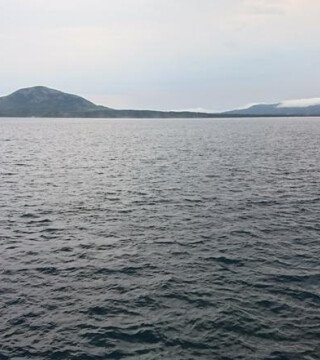 Компаниям с иностранным участием придется согласовывать право на вылов