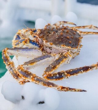 Для аукциона по квотам определили список участников