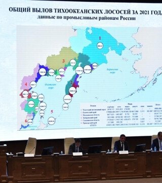 Лососевой путине подвели итог