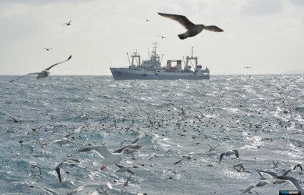 Рыбаки показывают Дальний Восток «территорией роста»