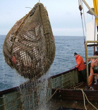 На промысел теперь можно заявиться через «Госуслуги»