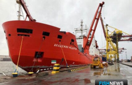 Коронавирус вмешался в исследования Антарктиды