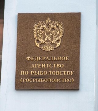 Росрыболовство распределило квоты для Дальнего Востока