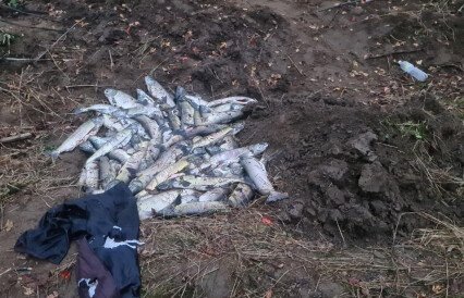 Дроны помогают камчатской рыбоохране выслеживать браконьеров