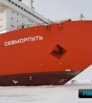 «Севморпуть» опробовал программу субсидируемого рейса