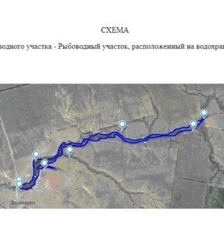 Рыбоводам предлагают акватории в Саратовской области