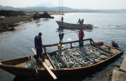 Для рыбаков Дальнего Востока вышли изменения